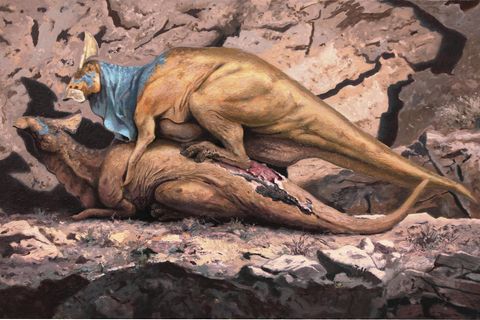 Illustration: Zwei sich paarende Entenschnabelsauriern.Das Männchen drückt den Rücken des Weibchens runter und verletzt es dabei