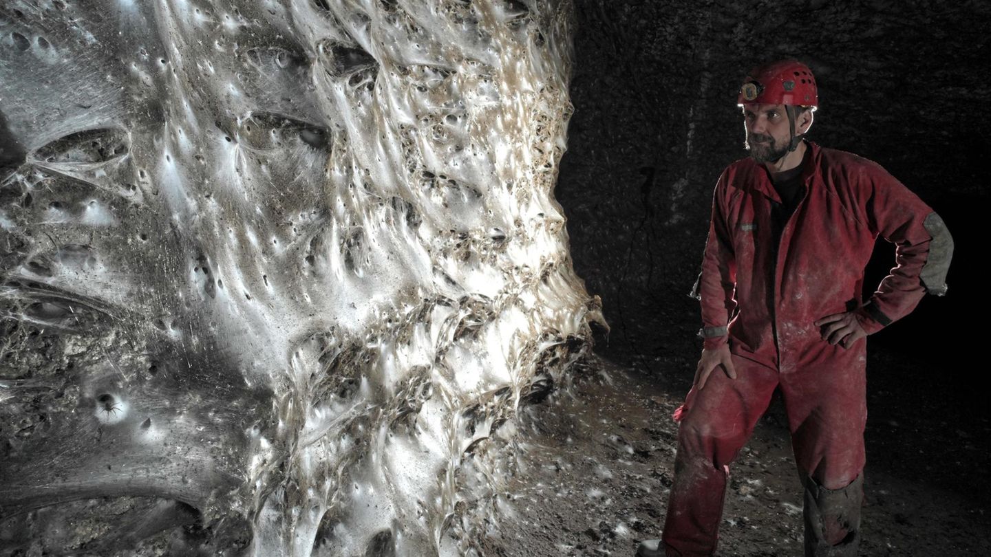 Das riesige Netz in der Schwefelhöhle besteht aus unzähligen einzelnen Trichternetzen  © Marek Audy, Urak et al. 2025, Subterranean Biology, CC BY 4.0