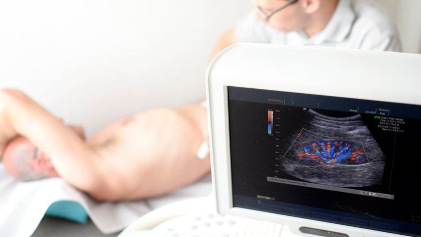 Ein Mediziner untersucht die Niere eines Patienten mit einem Ultraschallgerät Foto: Maurizio Gambarini/dpa