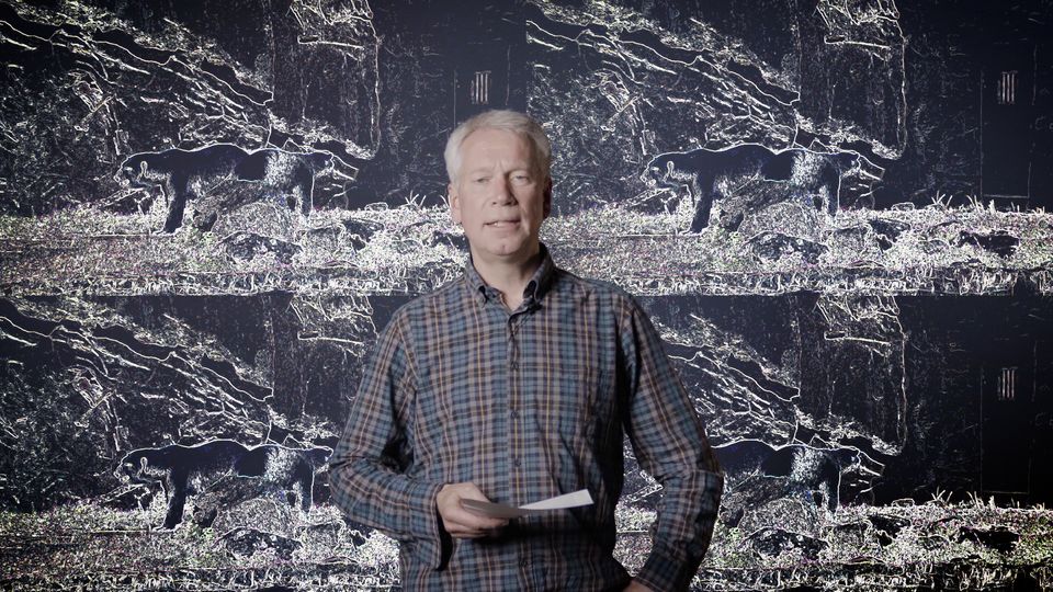 Kommentar: "Im Zoo lernen Kinder, dass es normal ist, Tiere einzusperren und anzustarren"