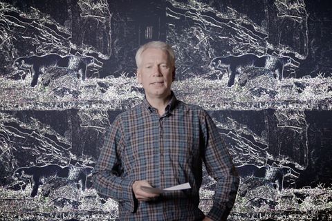 Kommentar: "Im Zoo lernen Kinder, dass es normal ist, Tiere einzusperren und anzustarren"