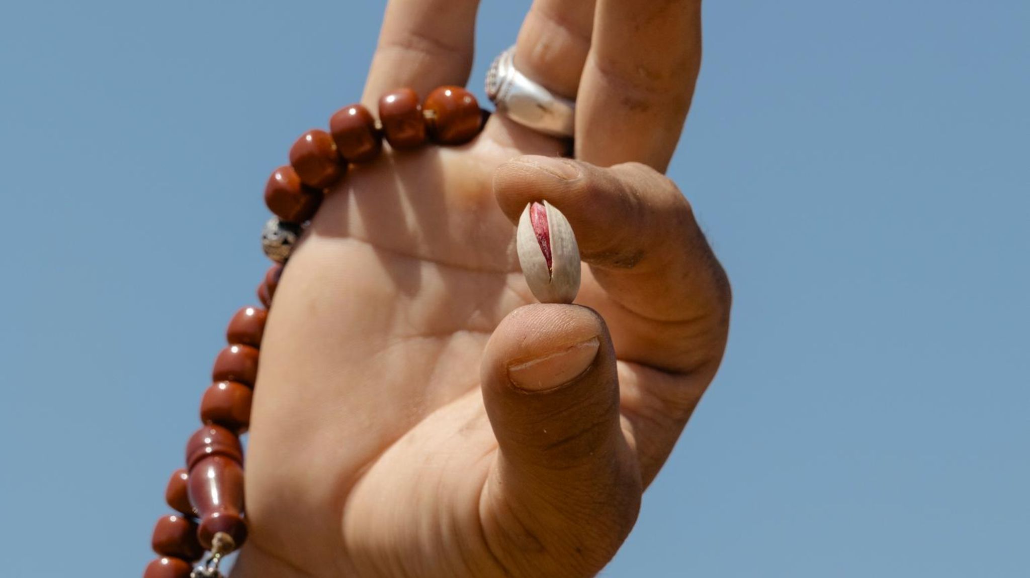 Hand hält eine Pistazie