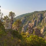 Berglandschaft mit Bäumen im L'Ospedale massif Piscia Di Gallo Zonza