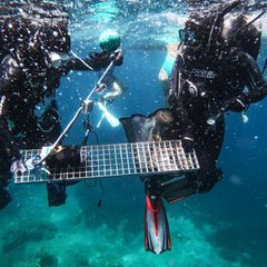 Forschende sammeln Proben