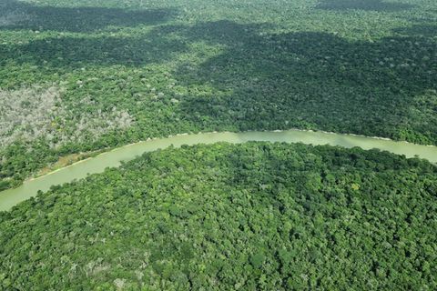 COP30-Ticker: Stress im Amazonasgebiet ist auch in Berlin spürbar