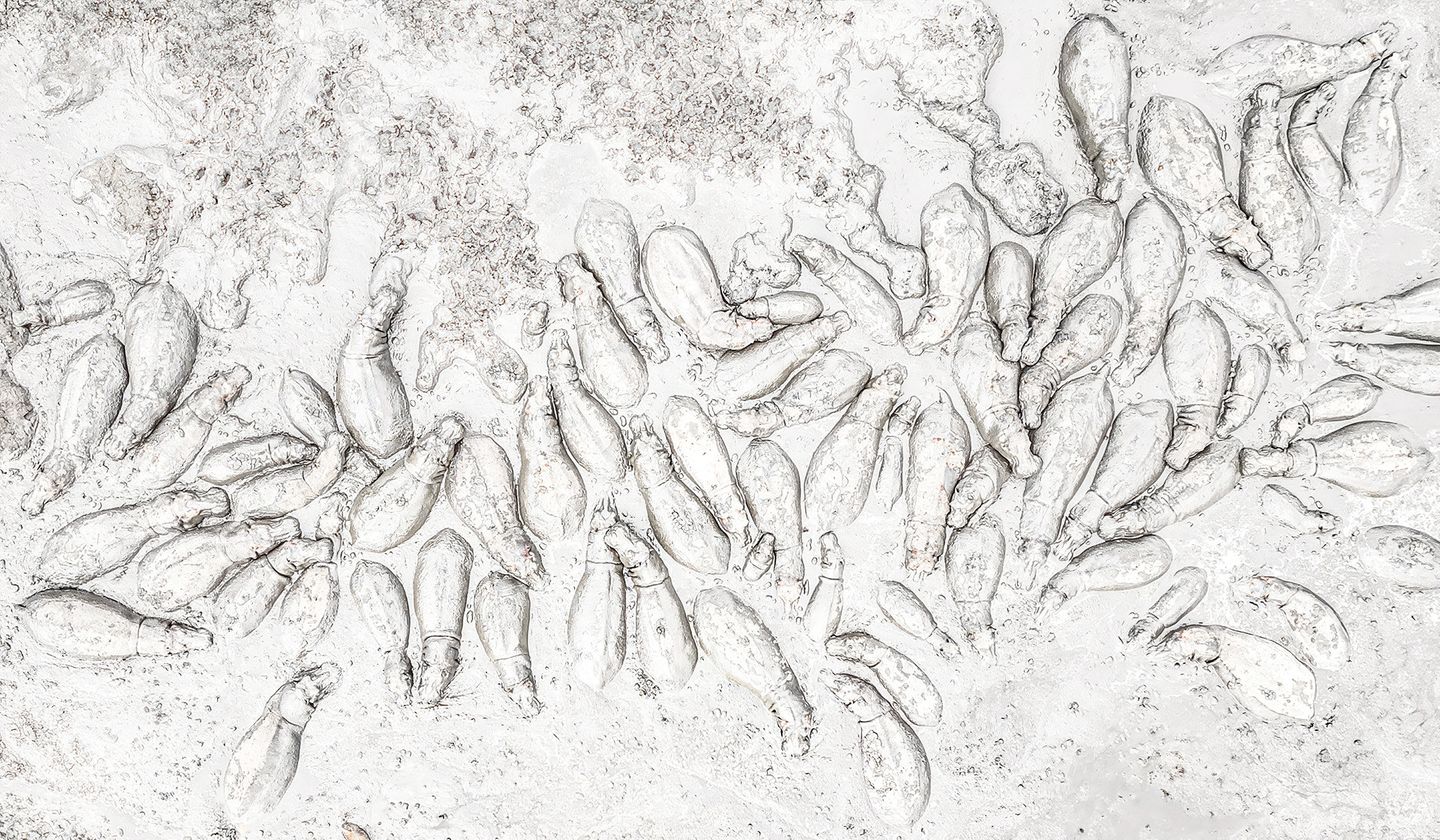 Flusspferde von oben