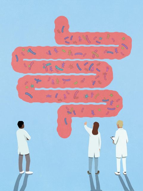 Die Illustration zeigt drei Wissenschaftler, die Bakterien in einem Darmmodell betrachten