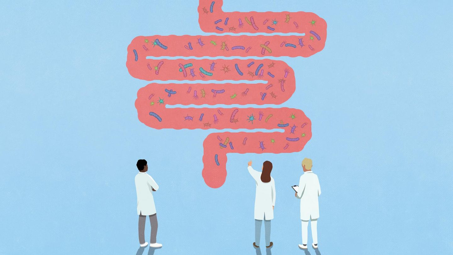 Die Illustration zeigt drei Wissenschaftler, die Bakterien in einem Darmmodell betrachten