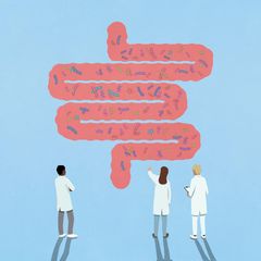 Die Illustration zeigt drei Wissenschaftler, die Bakterien in einem Darmmodell betrachten
