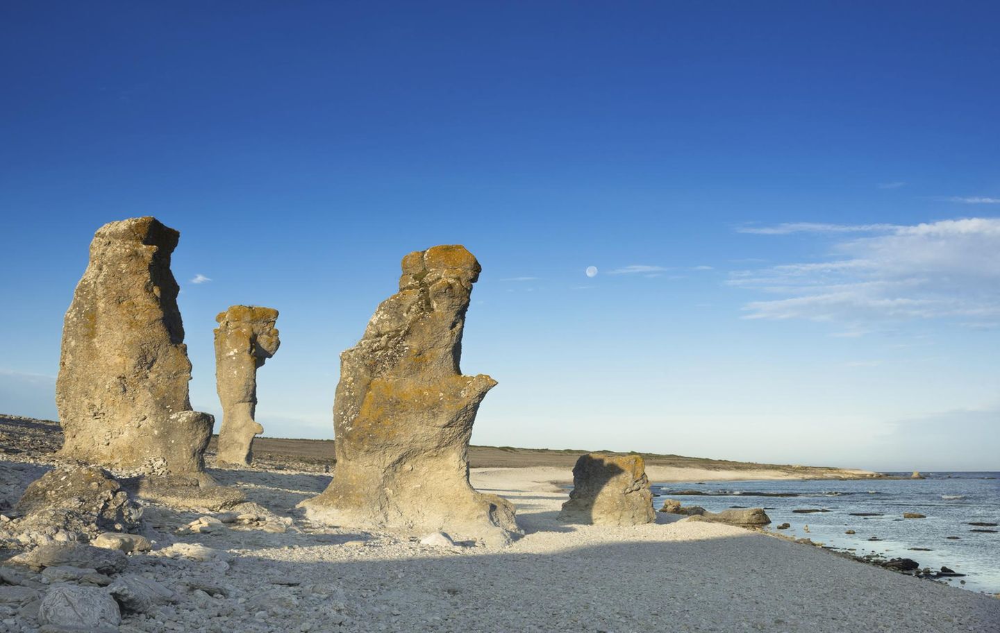 The famous lime stone rocks, called raukar, at Langhammars on the island Fårö, Sweden, in the light of the morning sun