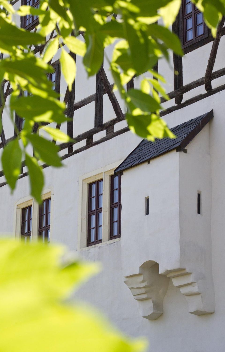 Aborterker an einer Burg