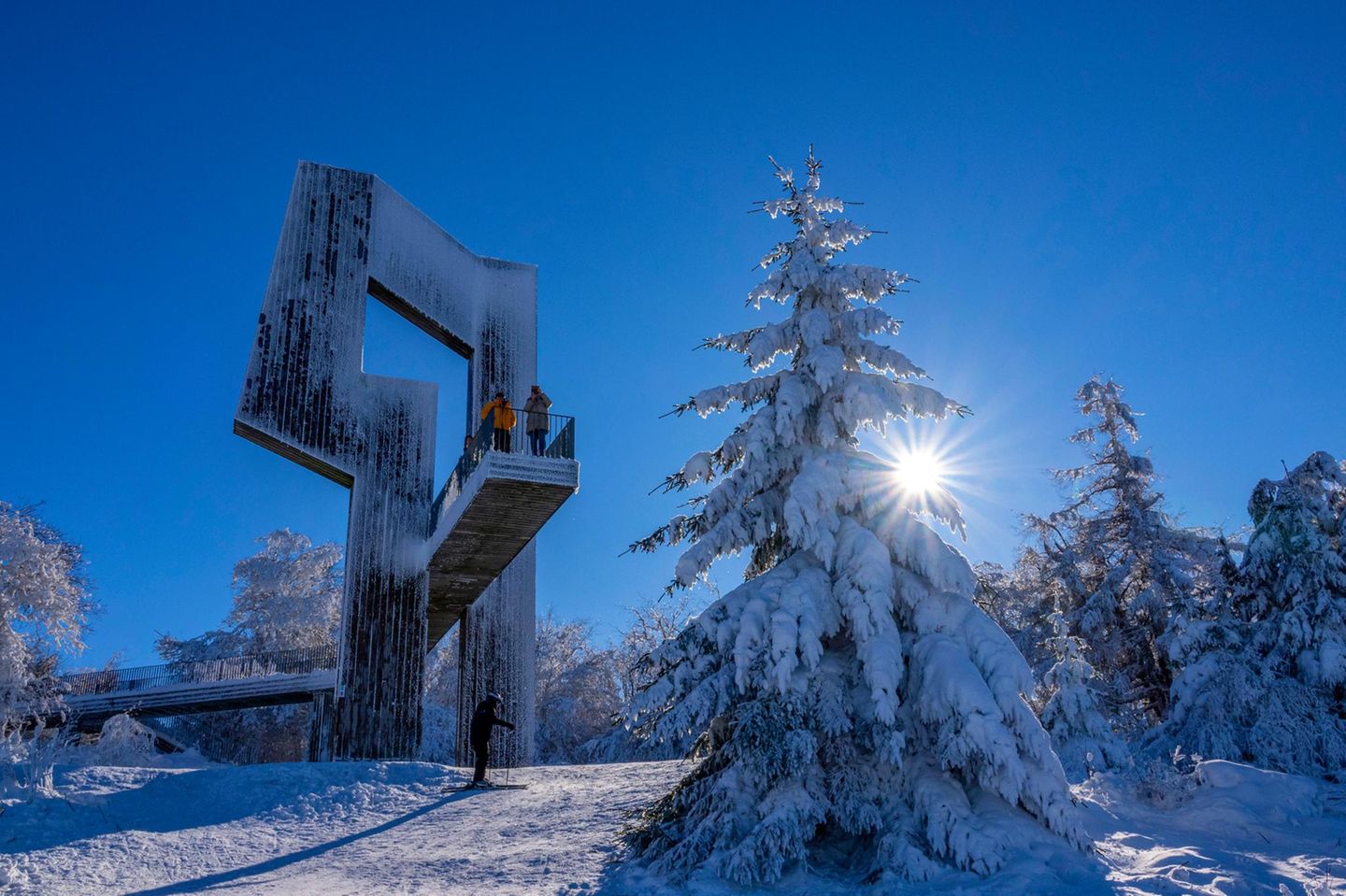 Ein buchstäblicher Höhepunkt des Besuchs im Nationalpark ist ein Abstecher auf den Erbeskopf, der mit seinen 816 Metern der höchste Gipfel in Rheinland-Pfalz ist. Das nahe gelegene Nationalparktor Erbeskopf zählt zu den drei offiziellen Einstiegspunkten in den Park und bietet eine sehenswerte interaktive Ausstellungen zu Natur und Tieren. Die Wanderung zum Gipfel belohnt ein weiter Panoramablick über die Hunsrückhöhen.