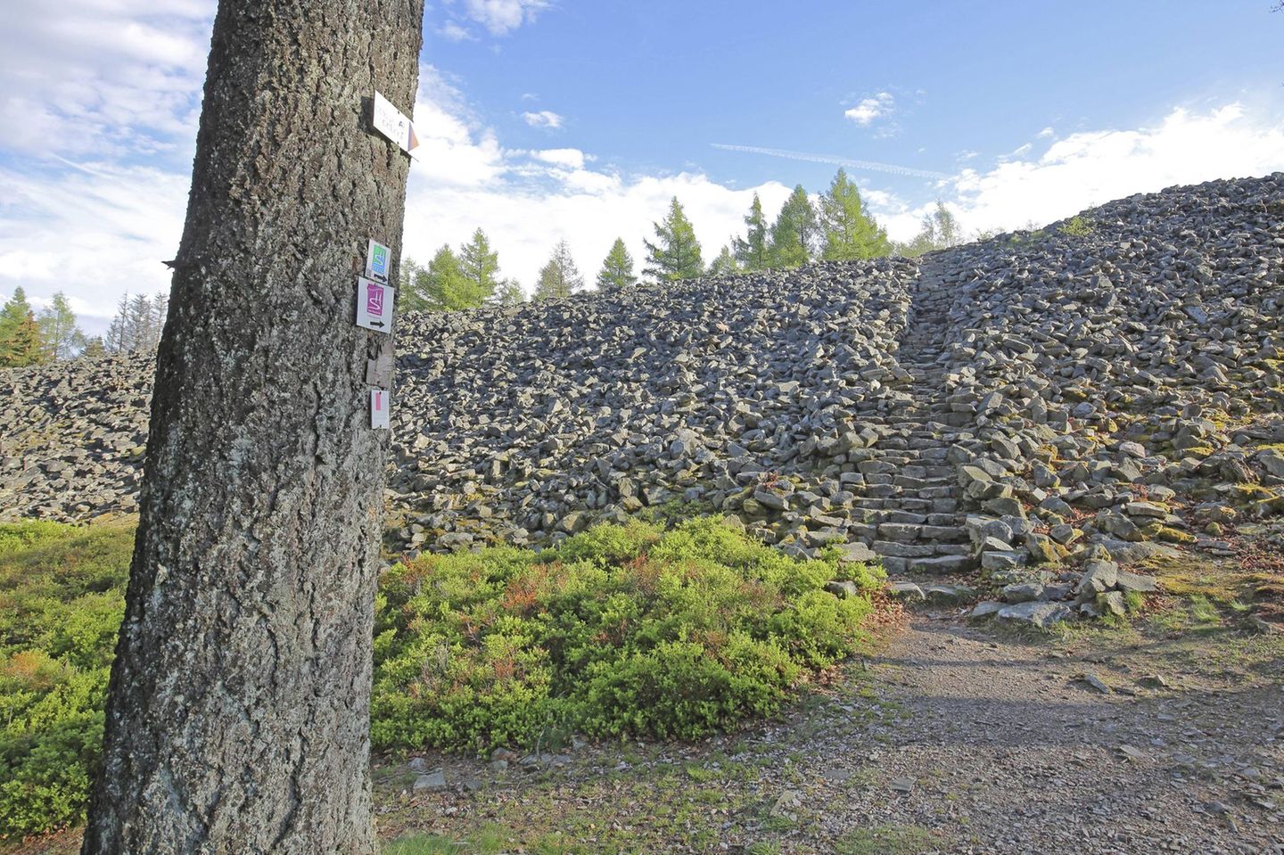 Einer der wohl eindrucksvollsten Kulturorte im Nationalpark Hunsrück-Hochwald befindet sich am Hang des Dollbergs bei Otzenhausen, einem Teil der Gemeinde Nonnweiler. Die gewaltigen, bis zu zehn Meter hohen Mauern des Ringwalls stammen aus der Zeit um das erste Jahrhundert vor Christus und lassen bis heute erahnen, welche Bedeutung die Befestigungsanlage einst für die Kelten hatte. Am Fuße des Ringwalls lädt ein rekonstruiertes keltisches Dorf zu einer Zeitreise ein. Die Siedlung mit Wohn-, Handwerks- und Speichergebäuden orientiert sich in Architektur und Bauweise an historischen Vorbildern und vermittelt ein anschauliches Bild vom Alltag vor mehr als 2000 Jahren.