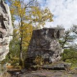 Sie zählt zu den schönsten Wanderrouten im Nationalpark Hunsrück-Hochwald: Auf rund 9,1 Kilometern und nur etwa 300 Höhenmetern lässt sich die Traumschleife "Kirschweiler Festung" in gut drei Stunden entspannt erwandern und führt dabei mitten durch den Nationalpark. Die Route im östlichen Teil des Schutzgebiets zeigt eindrucksvoll die Schönheit der Edelsteinregion Idar-Oberstein. Höhepunkte sind die markanten Quarzitfelsen der Kirschweiler Festung mit ihren malerischen Aussichtspunkten sowie der Ringskopf, eine ehemalige keltische Befestigungsanlage.