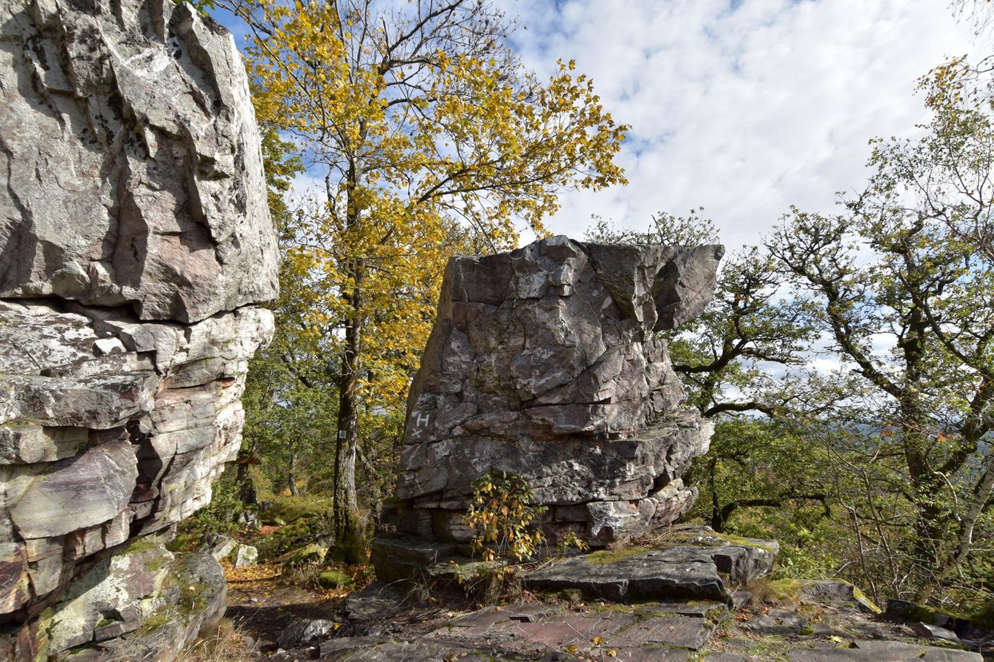 Sie zählt zu den schönsten Wanderrouten im Nationalpark Hunsrück-Hochwald: Auf rund 9,1 Kilometern und nur etwa 300 Höhenmetern lässt sich die Traumschleife "Kirschweiler Festung" in gut drei Stunden entspannt erwandern und führt dabei mitten durch den Nationalpark. Die Route im östlichen Teil des Schutzgebiets zeigt eindrucksvoll die Schönheit der Edelsteinregion Idar-Oberstein. Höhepunkte sind die markanten Quarzitfelsen der Kirschweiler Festung mit ihren malerischen Aussichtspunkten sowie der Ringskopf, eine ehemalige keltische Befestigungsanlage.