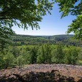Wer gern wandert oder Rad fährt, ist hier richtig. Ein dichtes Netz gut ausgeschilderter Wege lädt zu kurzen Rundtouren ebenso wie zu anspruchsvollen Etappen ein. Wer die Region lieber angeleitet erkundet, kann sich auch geführten Wanderungen oder Radtouren anschließen. Familien profitieren von zahlreichen kindgerechten Angeboten – darunter zum Beispiel spezielle Rangertouren, die junge Entdecker an die Natur heranführen. Auch Kulturinteressierte kommen auf ihre Kosten: Ringwälle, alte Befestigungsanlagen, Kultstätten und kleine Museen erzählen von dem reichen römisch-keltischen Erbe des Hunsrücks und lassen sich wunderbar mit einer Wanderung verbinden. Kurz: Der Nationalpark begeistert alle, die sich für heimische Tierwelt, Natur und Geschichte interessieren.