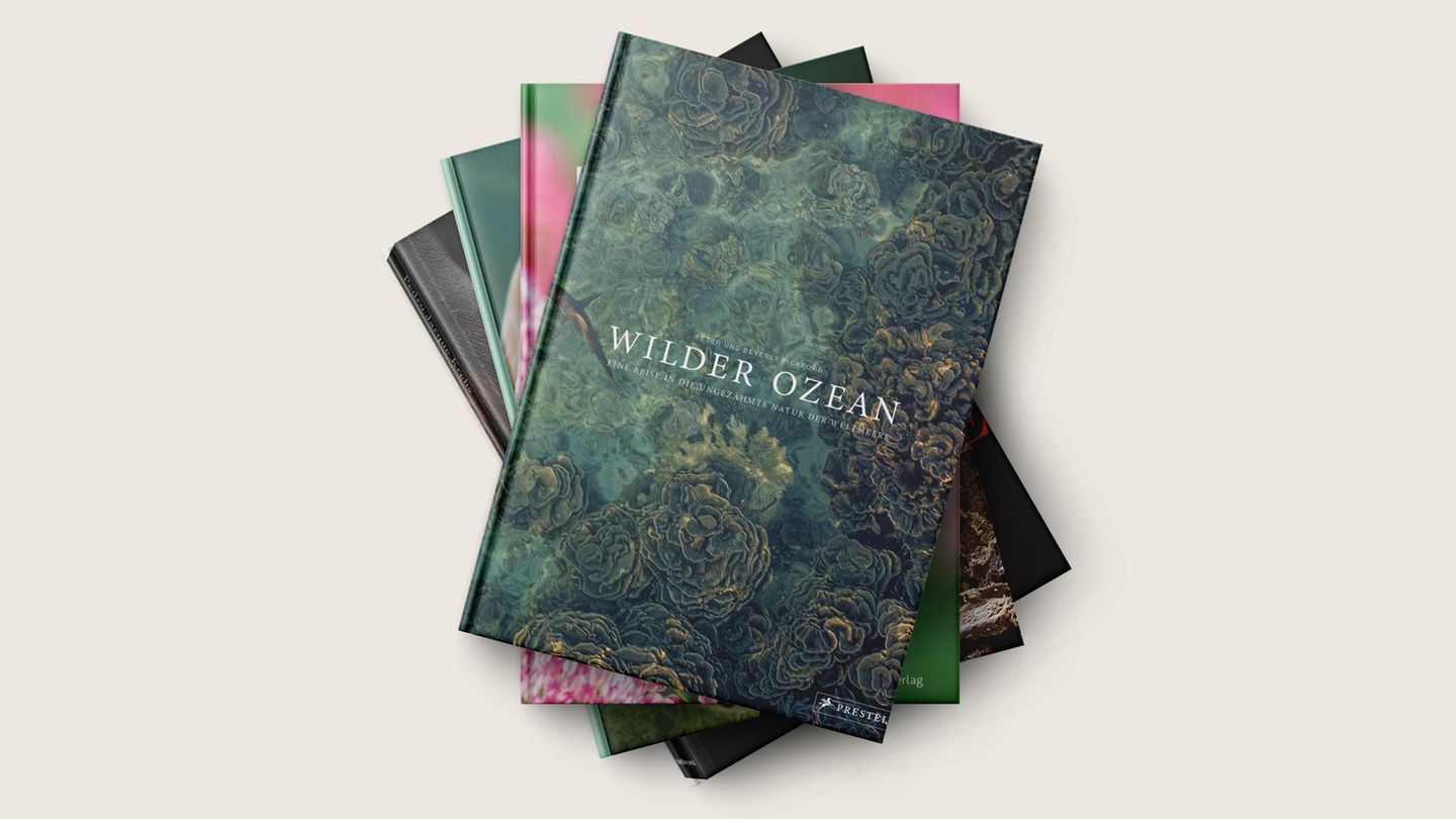 Buchtipps-Die-sch-nsten-Bildb-nde-f-r-Naturfans