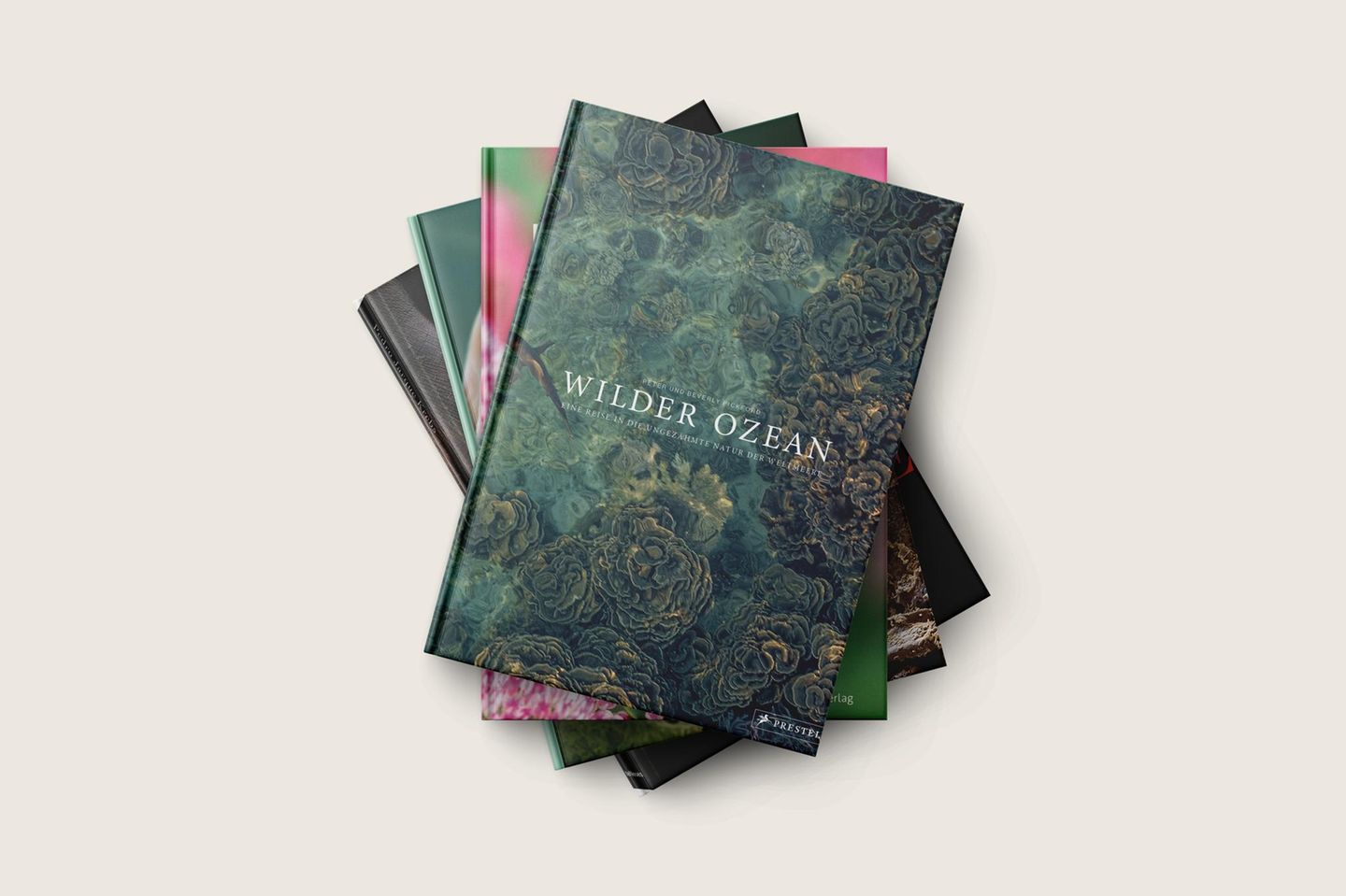 Nicht nur schön anzusehen, auch lehrreich: Diese Bildbände bringen uns die Natur näher