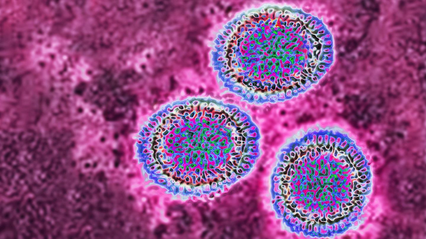 Influenza Virus