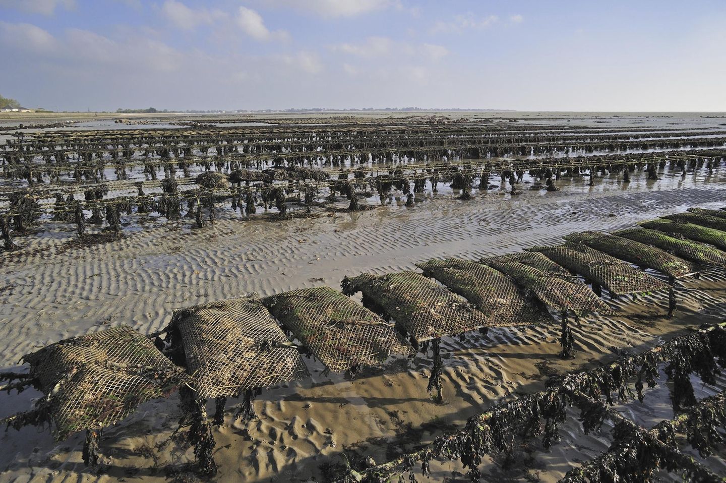 Saint-Vaast-la-Hogue in der französischen Normandie
