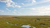 Salzwiesen im Naturpark Marais du Cotentin et du Bessin