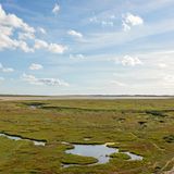 Salzwiesen im Naturpark Marais du Cotentin et du Bessin