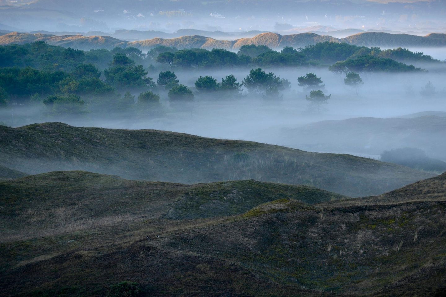 Dünen von Biville auf der Halbinsel Cotentin im Nebel