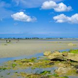 Sandbank bei Ebbe vor dem Saint-Vaast-la-Hougue auf der Halbinsel Cotentin