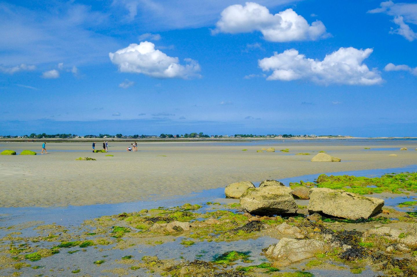 Sandbank bei Ebbe vor dem Saint-Vaast-la-Hougue auf der Halbinsel Cotentin
