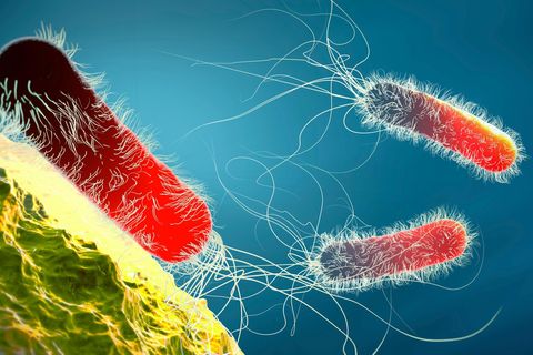 Resistente Keime 3 D Illustration