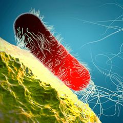 Resistente Keime 3 D Illustration