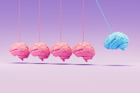 Unser Gehirn durchläuft fünf Phasen der Entwicklung 