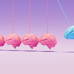 Unser Gehirn durchläuft fünf Phasen der Entwicklung 