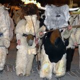 Personen in Tierkostümen