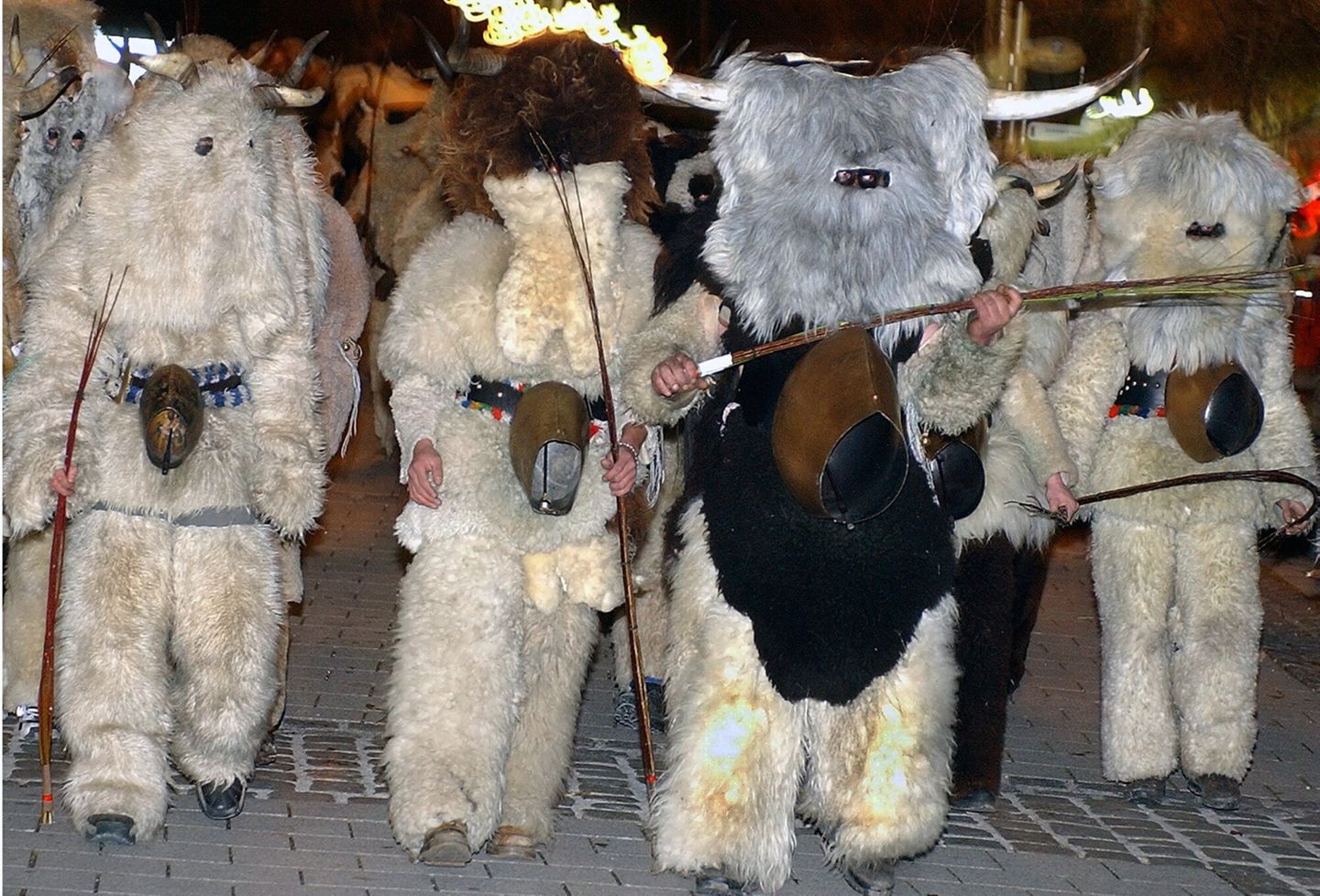 Personen in Tierkostümen