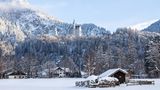 Schloss Neuschwanstein, umgeben von Bäumen, im Vordergrund Häuser