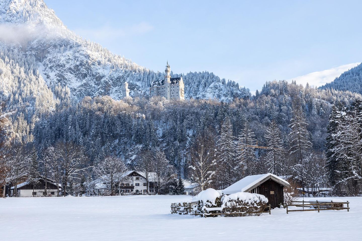 Schloss Neuschwanstein, umgeben von Bäumen, im Vordergrund Häuser