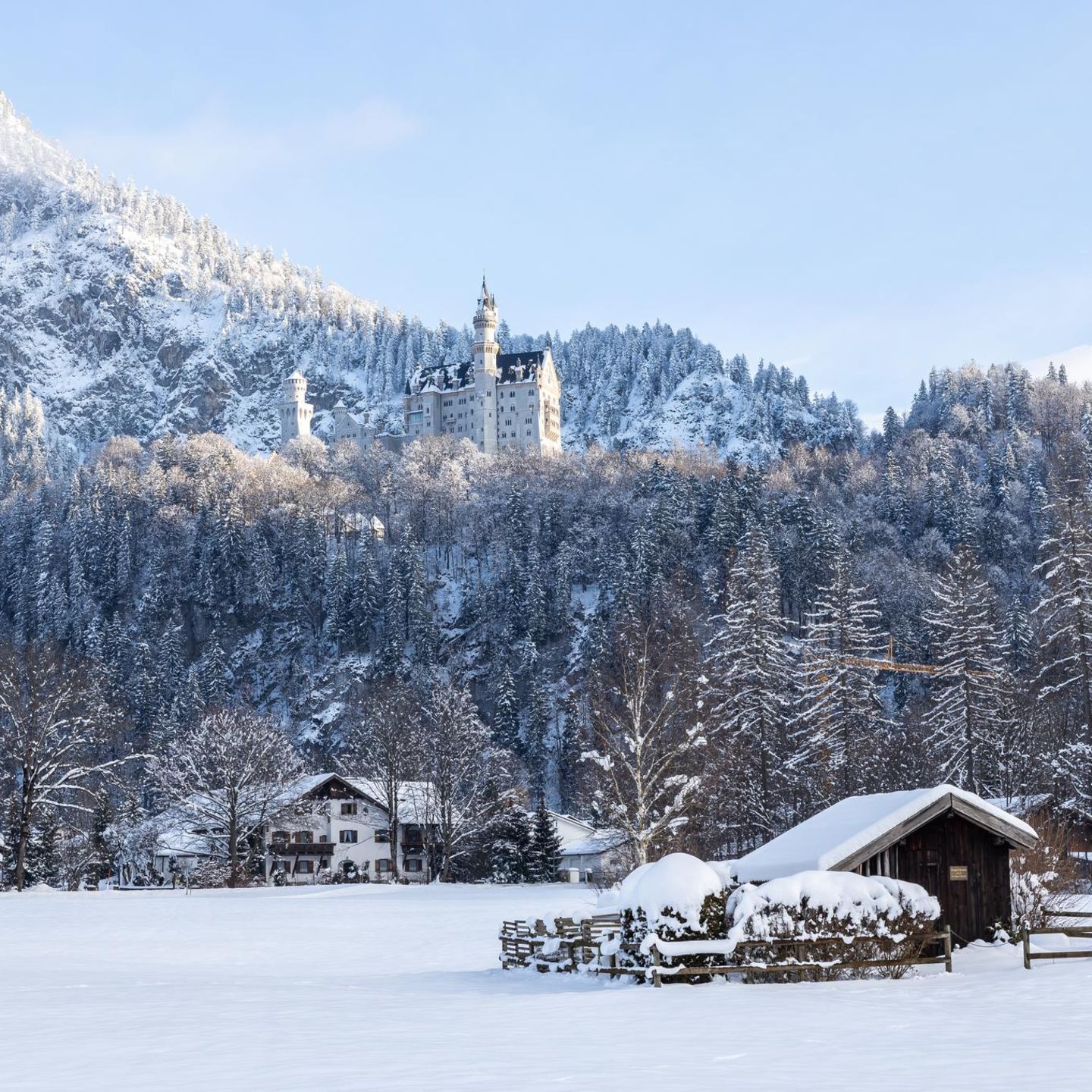 Schloss Neuschwanstein, umgeben von Bäumen, im Vordergrund Häuser