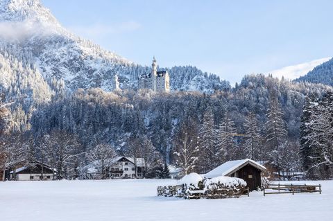 Schloss Neuschwanstein, umgeben von Bäumen, im Vordergrund Häuser