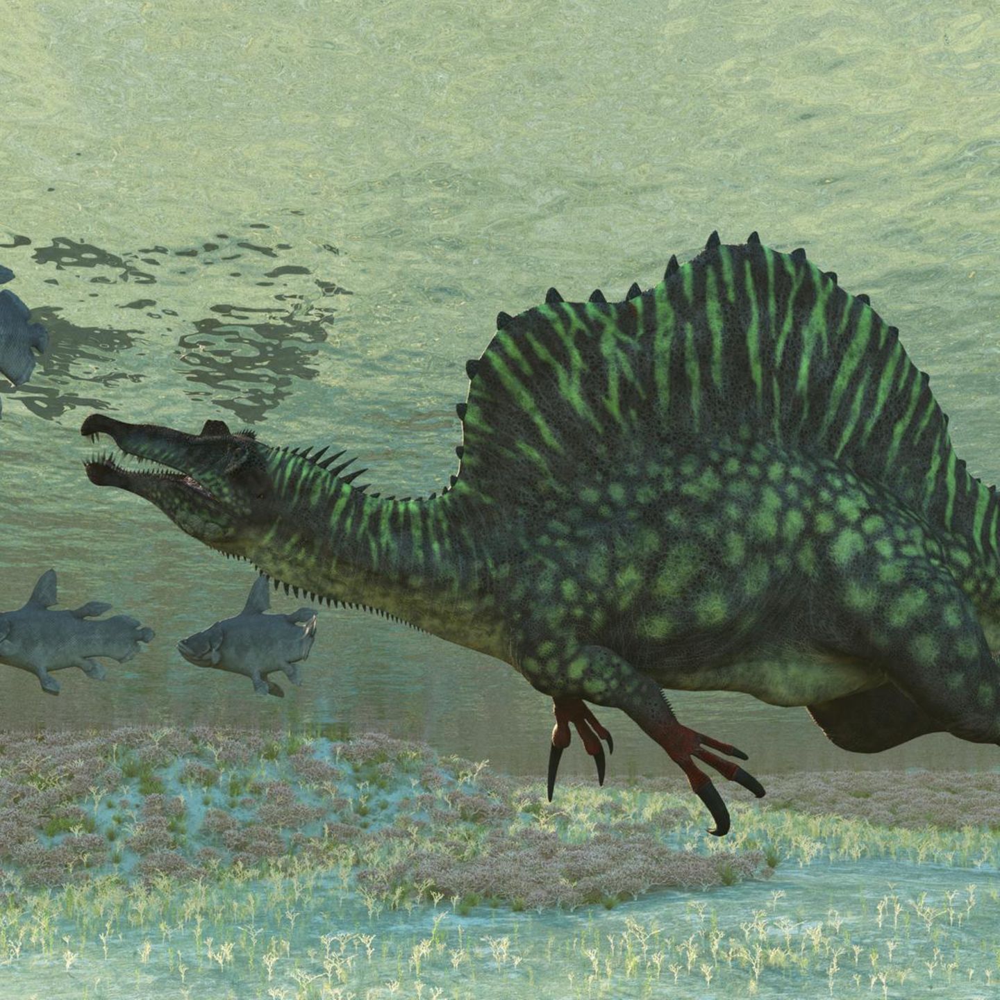 Schon die Ergebnisse einer Studie aus dem Jahr 2022 deuten darauf hin, dass die bis zu 18 Meter langen Spinosaurier gut tauchen und mit dem Kopf unter Wasser jagen konnten