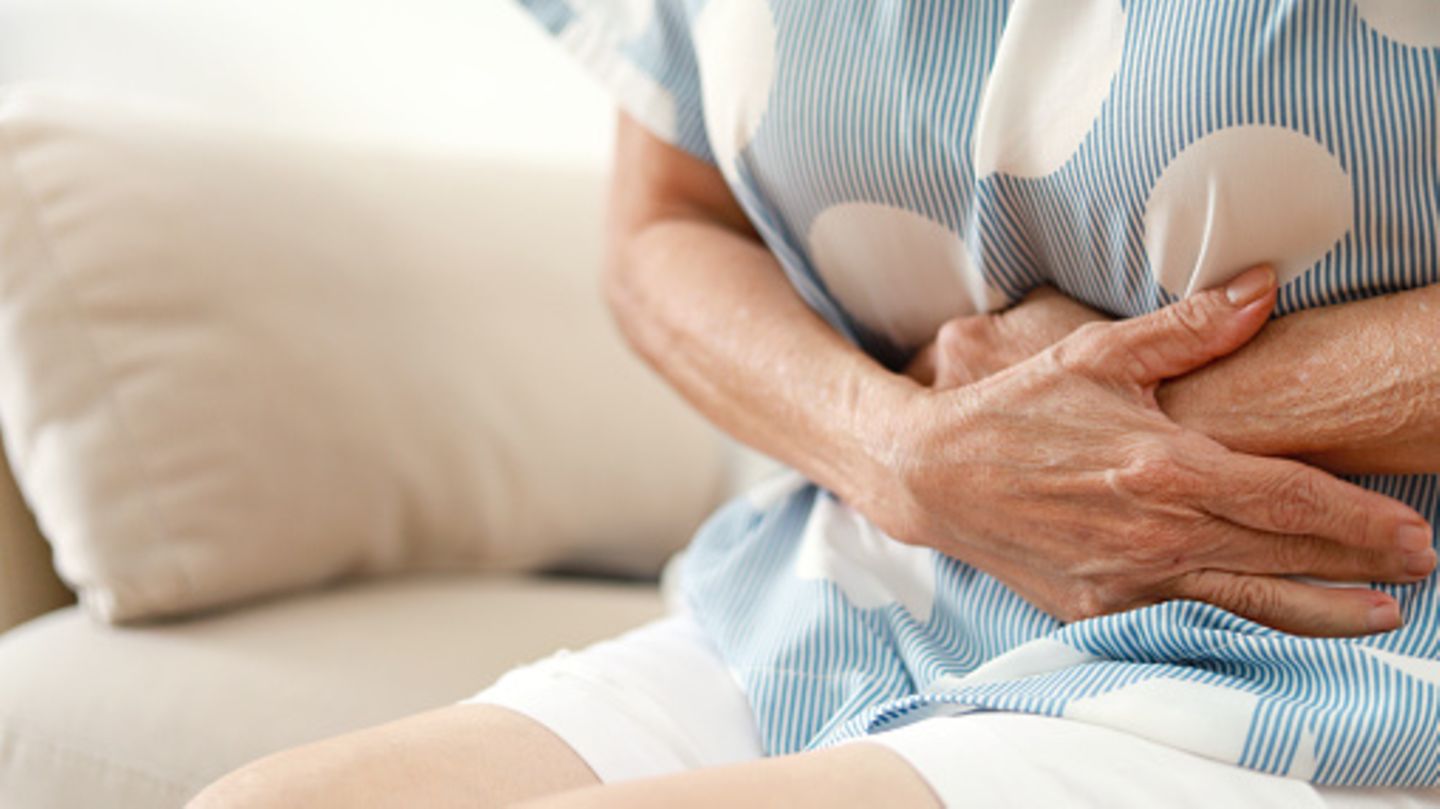 Darm-Hirn-Achse-Wissenschaft-des-Bauchgef-hls-Wie-Darm-und-Psyche-verbunden-sind