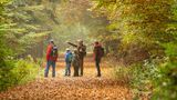 Ranger mit Besuchergruppe im Nationalpark Eifel