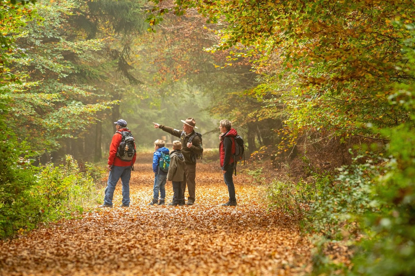 Ranger mit Besuchergruppe im Nationalpark Eifel
