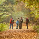 Ranger mit Besuchergruppe im Nationalpark Eifel