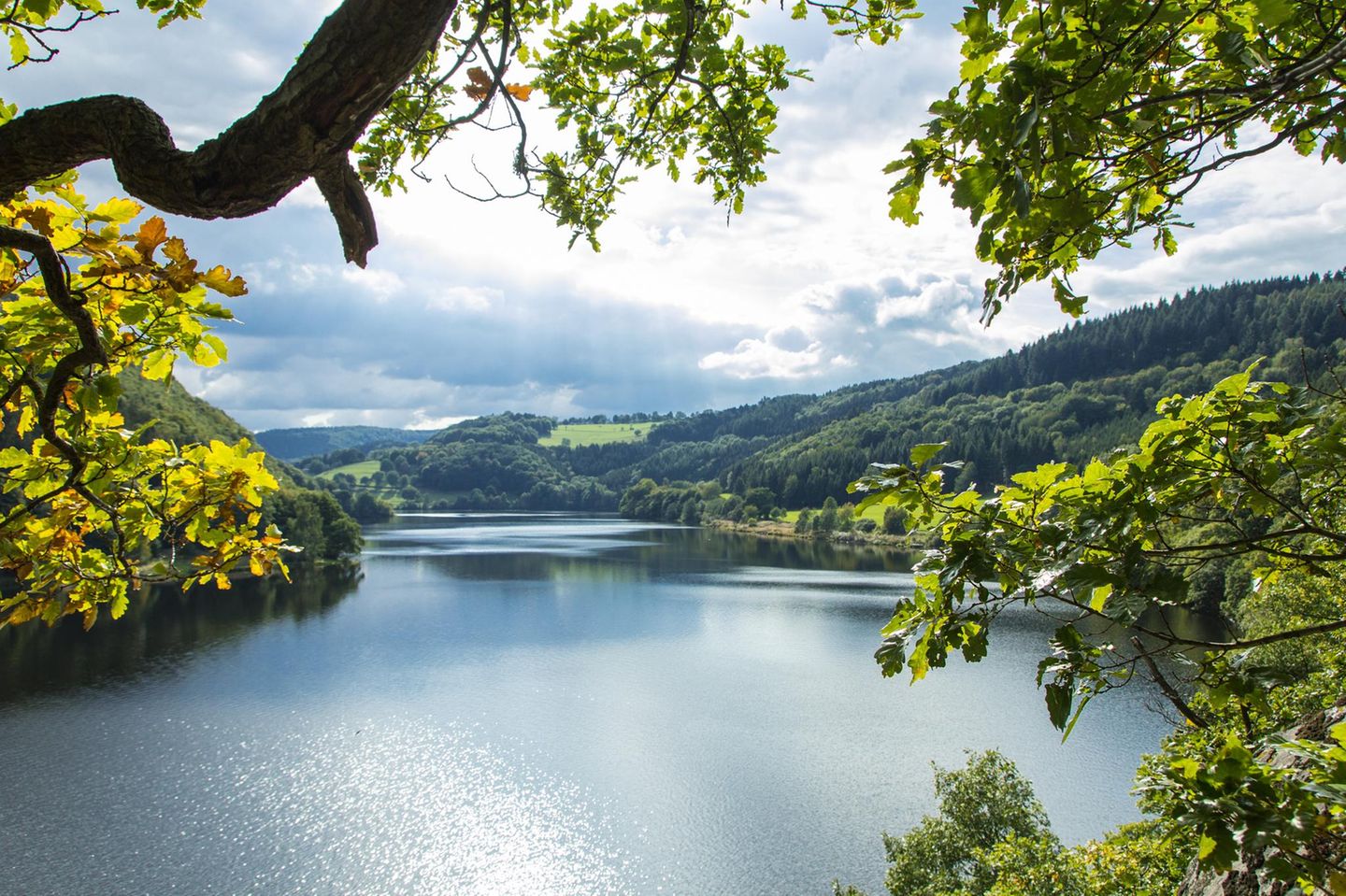Blick auf den Rursee in der Eifel