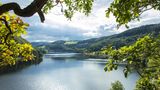 Blick auf den Rursee in der Eifel