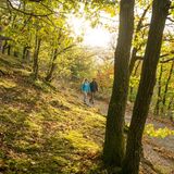 Wildnistrail im Nationalpark Eifel