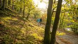 Wildnistrail im Nationalpark Eifel