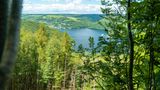 Hirschley - Eifel-Blick auf den Rursee und Woffelsbach im Nationalpark Eifel im Sommer