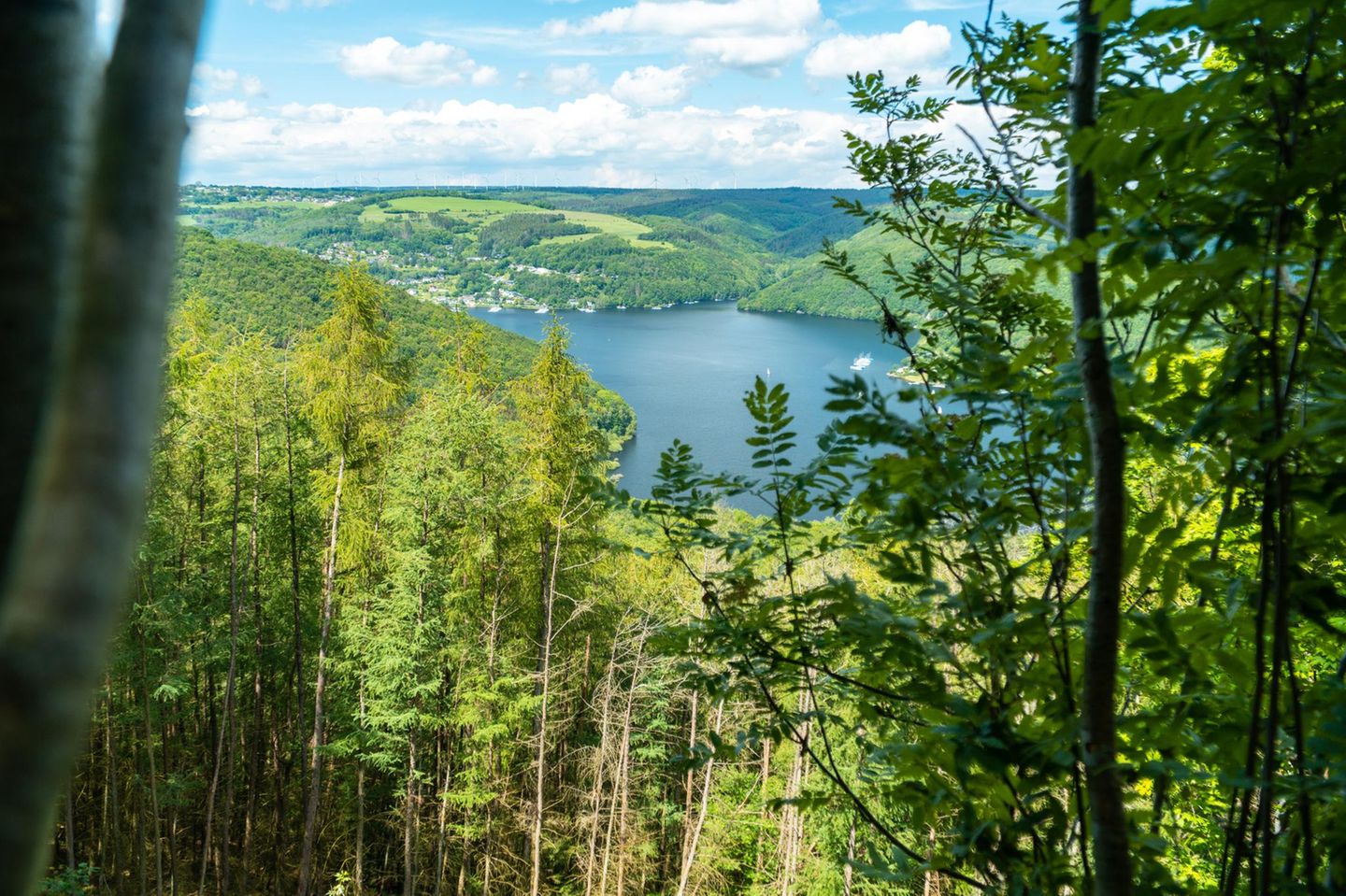 Hirschley - Eifel-Blick auf den Rursee und Woffelsbach im Nationalpark Eifel im Sommer